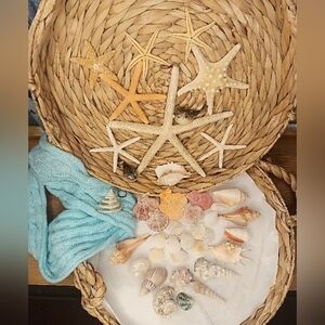 🐡Gorgeous Real Sea Bundle 🐚⭐ (Collector's)